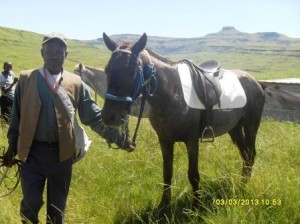 proud owner with his horse