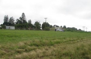 Site for the Training Center at our Rescue farm in Cato Ridge 