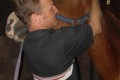 CHCU would like to thank … Brendan O’Connor Equine and Canine Chiropractor