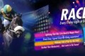 2016 CHARITY RACE NIGHT AT GREYVILLE